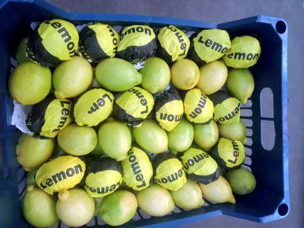 Lămâi & lime